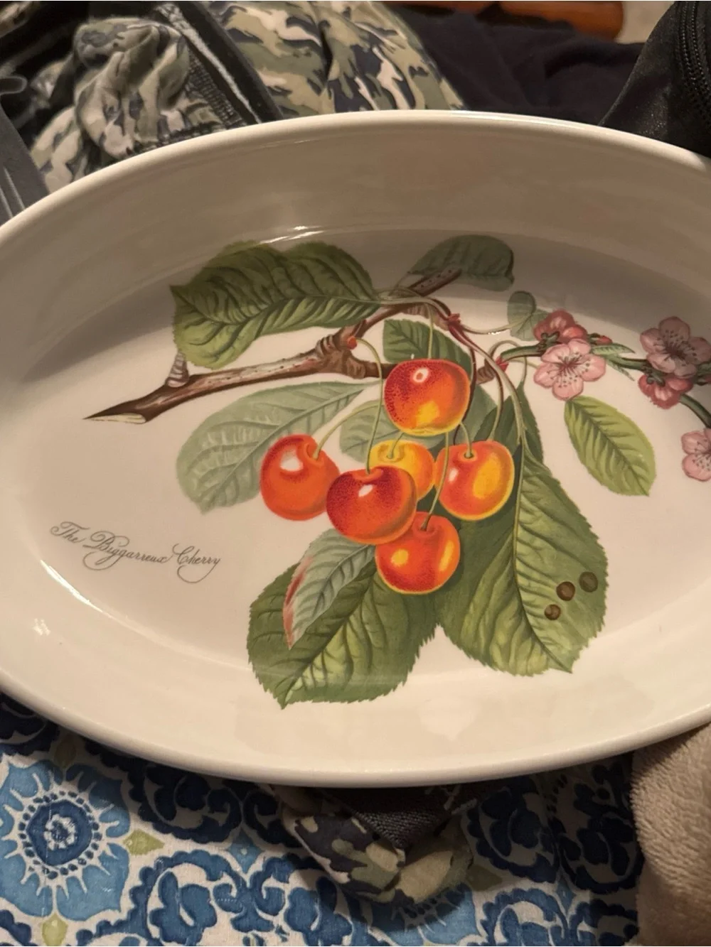 Portmeirion Pomona The Biggereaux Cherry 11.5